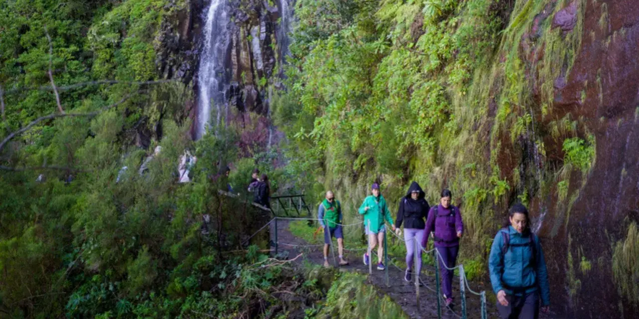Randonneurs sur un sentier étroit longeant une cascade luxuriante, une expérience typique d'une levada à Madère.