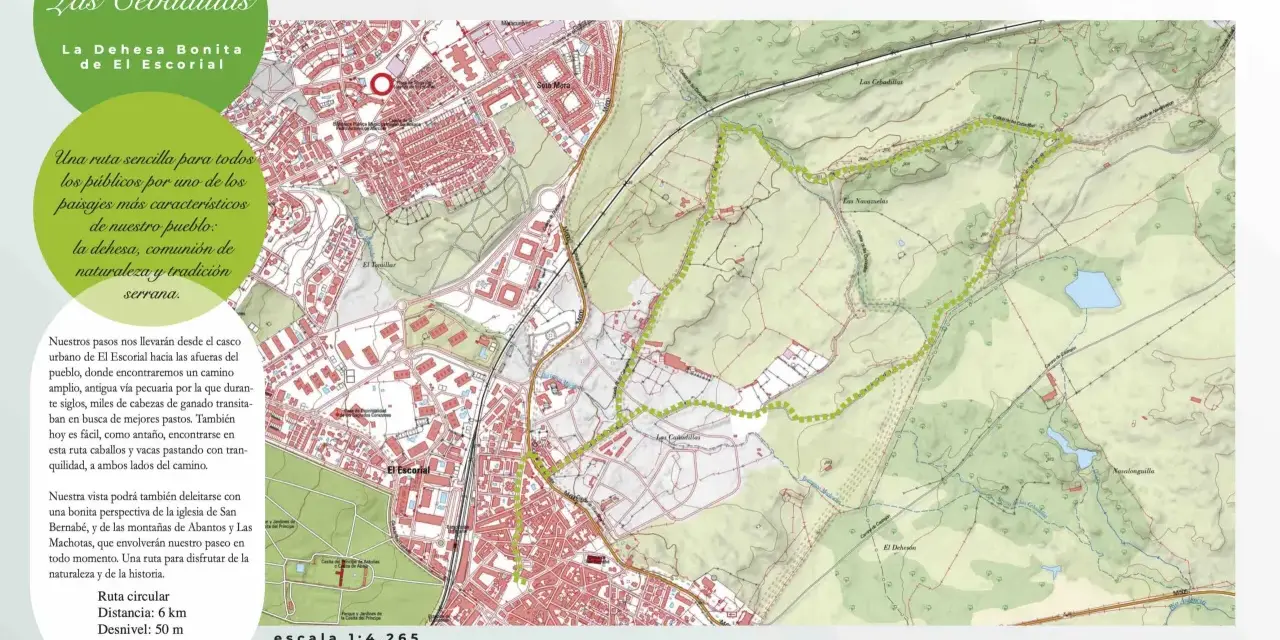 Mapa de rutas san lorenzo del escorial, destacando la "Ruta de Las Cebadillas" a través de la dehesa, un camino histórico para el ganado.