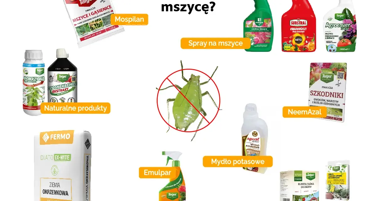 Domowy oprysk na mszyce i inne szkodniki: naturalne produkty, ziemia okrzemkowa, Mospilan, NeemAzal, Emulpar, mydło potasowe, spraye i taśmy lepowe.