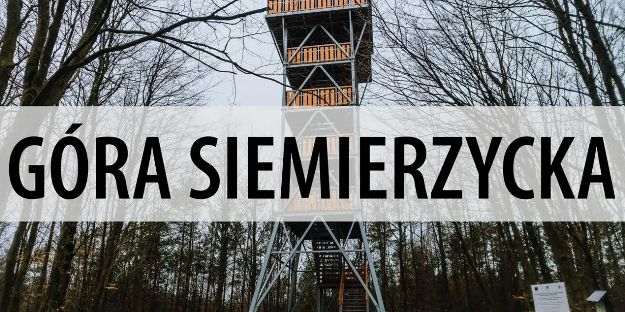Wieża widokowa na Górze Siemierzyckiej w otoczeniu nagich drzew.