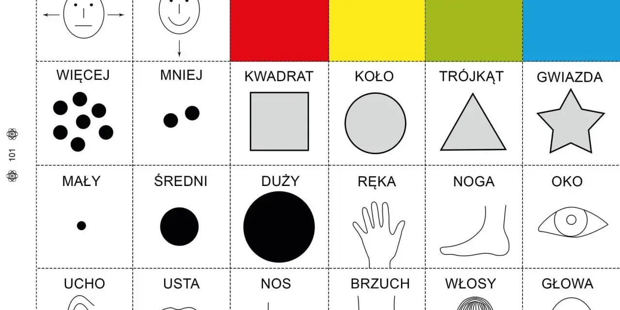 Pomoc w nauce dla 6 latka: kolory, kształty, liczby, części ciała.