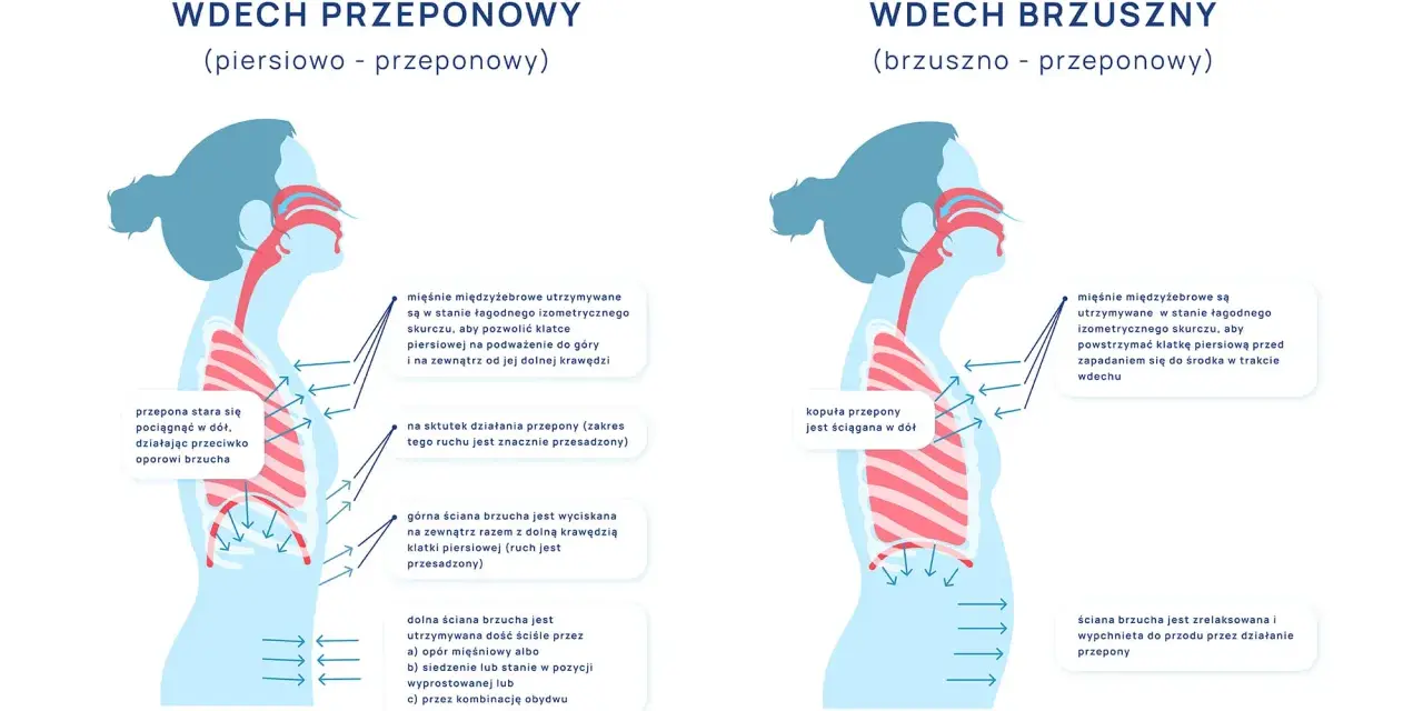 Ilustracja pokazuje dwa typy wdechu: piersiowo-przeponowy i brzuszno-przeponowy. W obu przypadkach kluczowe jest **oddychanie przeponowe**, które angażuje przeponę do głębszego wdechu.