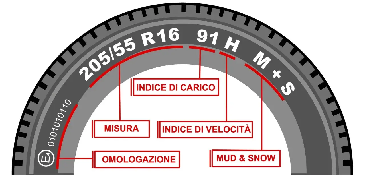 Guida per capire che gomme hai: misura (205/55 R16), indice di carico (91), indice di velocità (H), omologazione (E4) e M+S.