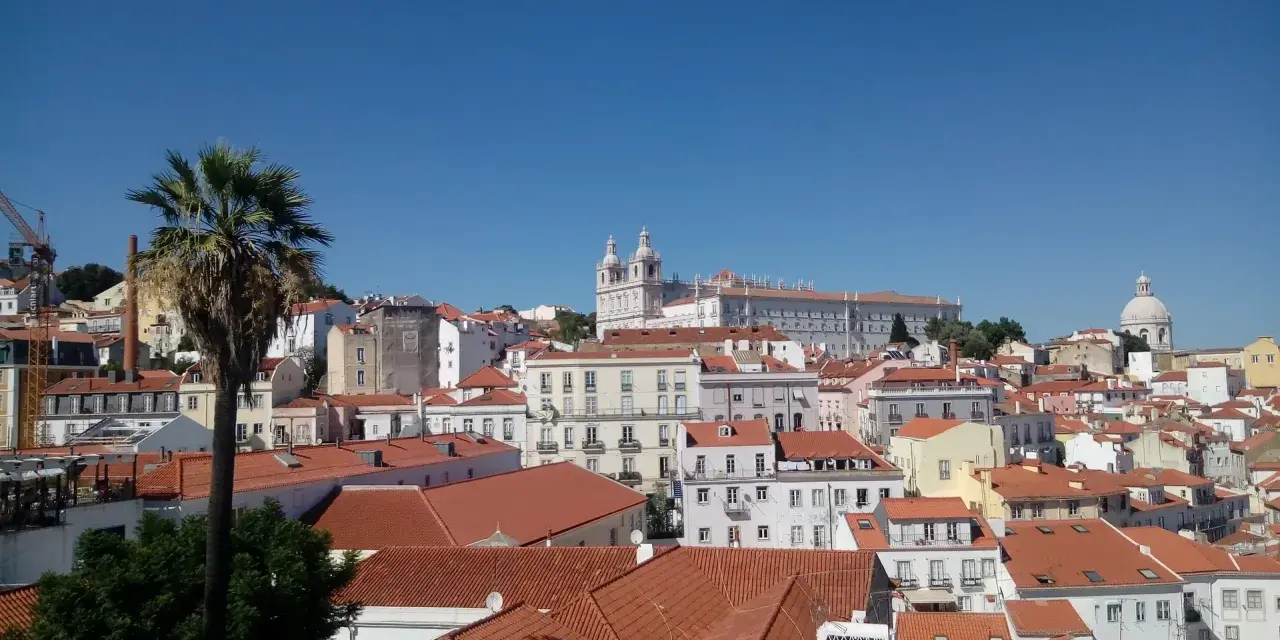 Słoneczna Portugalia, pogoda w lutym zachwyca. Widok na Lizbonę z palmą i kościołami na wzgórzach.