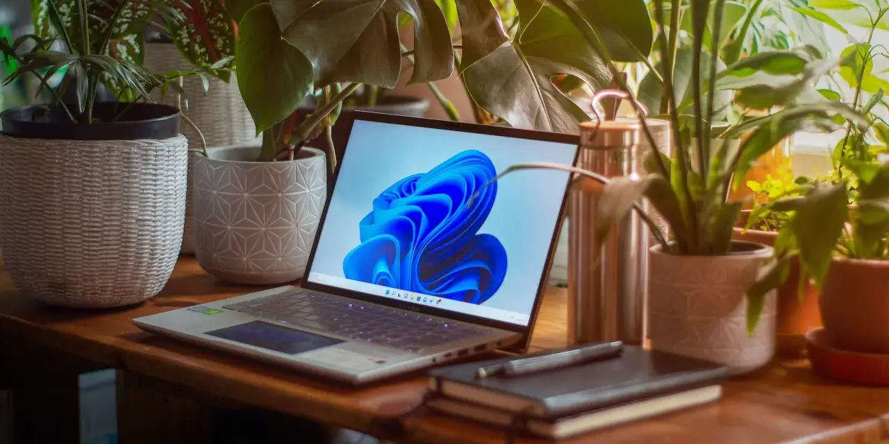 Laptop z systemem Windows 11 otoczony roślinami. Zastanawiasz się, ile zajmuje Windows 11?