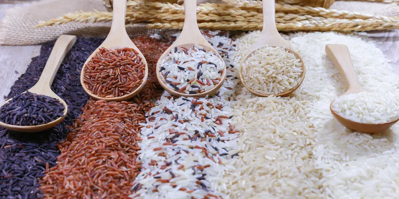 Cucharas de madera con arroz negro, rojo, integral y blanco, perfectos para tus recetas de arroz.