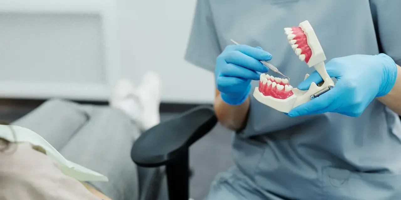 Dentysta pokazuje na modelu, jak radzić sobie z bólem, gdy rosnący ząb mądrości sprawia kłopoty.