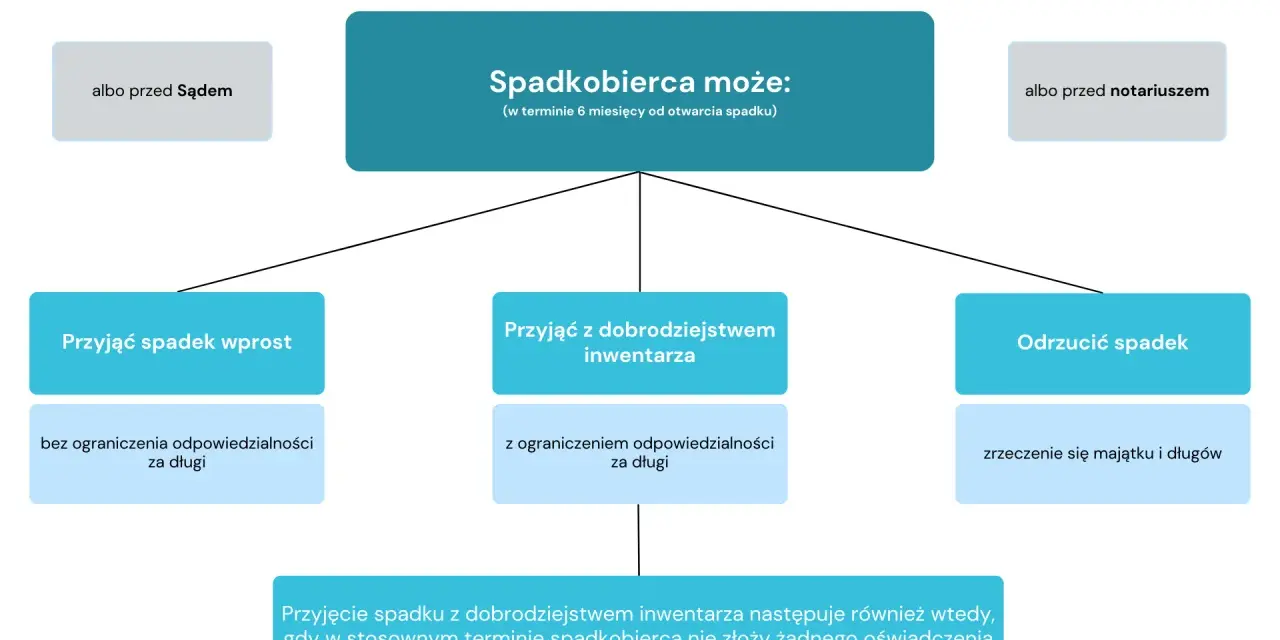 Schemat przedstawia opcje spadkobiercy: przyjąć spadek wprost, z dobrodziejstwem inwentarza lub odrzucić. Dotyczy to dziedziczenia ustawowego.