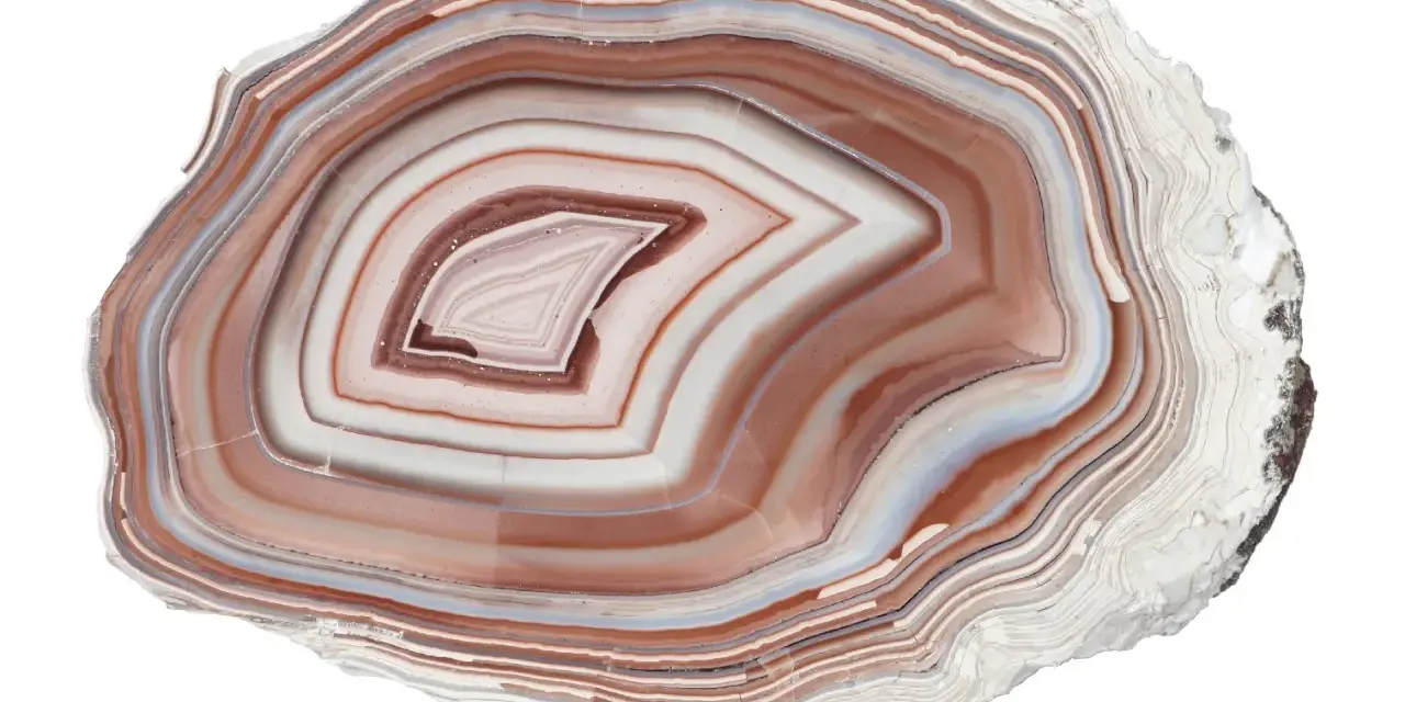 Fetta di agata pietra con bande concentriche di bianco, marrone e blu.