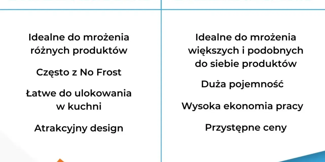 Zamrażarka czy zamrażalka? Dlaczego tylko jedna jest poprawna?