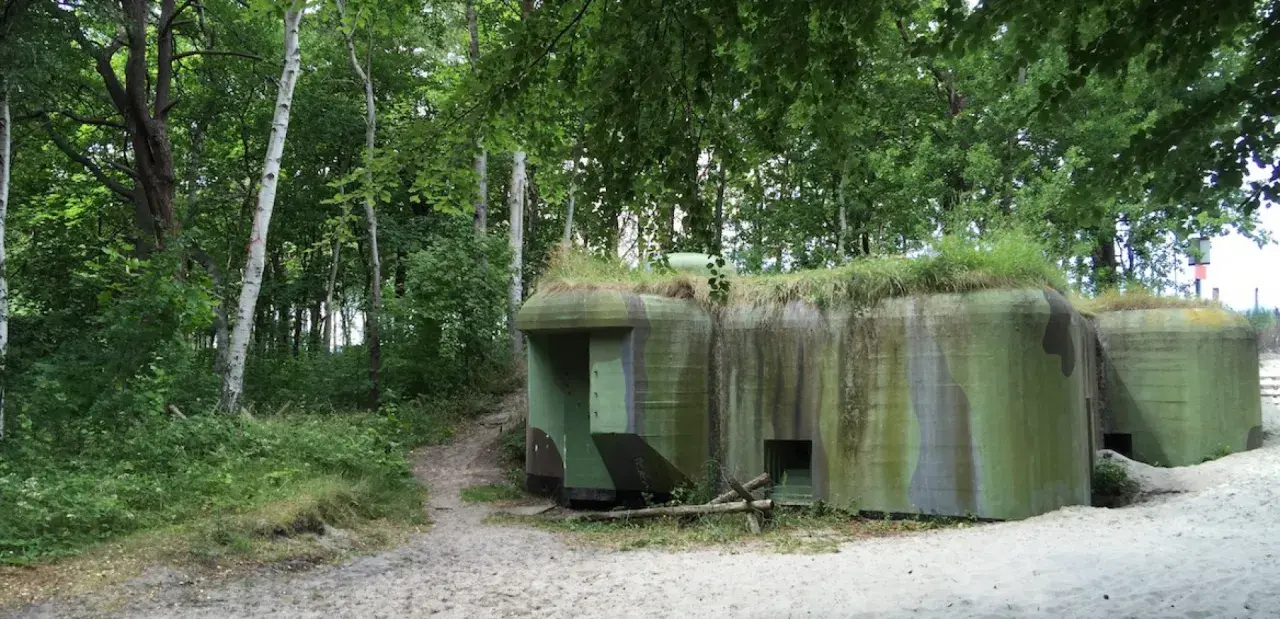 Skansen fortyfikacji Jastarnia: betonowe bunkry w kamuflażu, porośnięte trawą, ukryte wśród drzew i piasku.