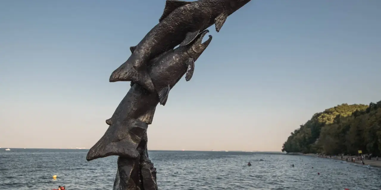 Gdynia co warto zobaczyć? Odkryj najlepsze atrakcje i smaki!