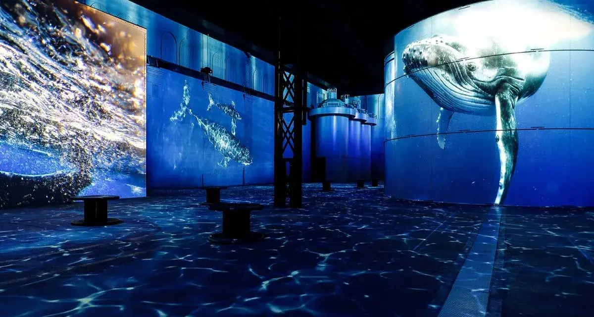 Immersives Erlebnis mit Walen und Wellen, das an **Hamburg abends** erinnert. Blaue Projektionen auf Wänden und Boden erzeugen Unterwasserwelt.