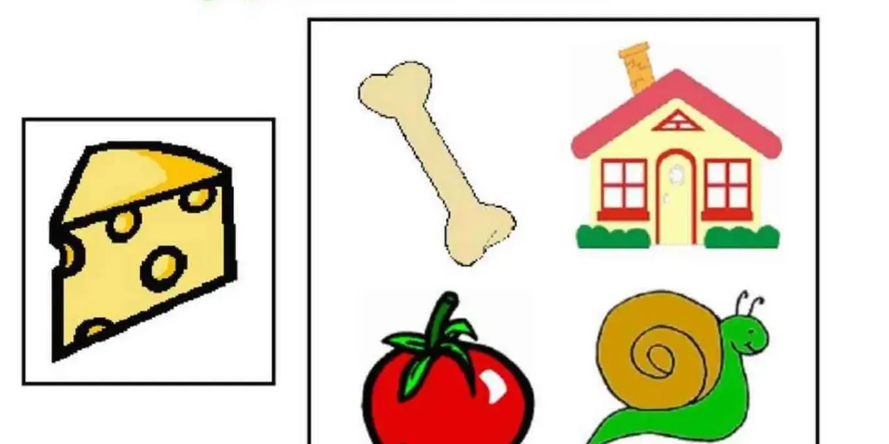 Un queso, un hueso, una casa, un tomate y un caracol. ¡Juego para desarrollar la conciencia silábica!