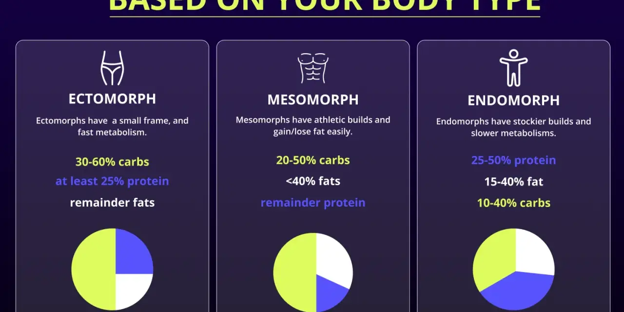 Diagrammet visar hur man delar upp sina **macros svenska** baserat på kroppstyp: ektomorf, mesomorf och endomorf, med rekommenderade fördelningar av kolhydrater, fett och protein.