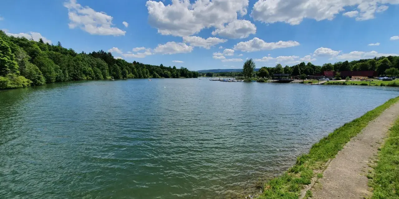 Ein sonniger Tag am Ellwanger See mit bewaldeten Ufern und einem Weg am Wasser.