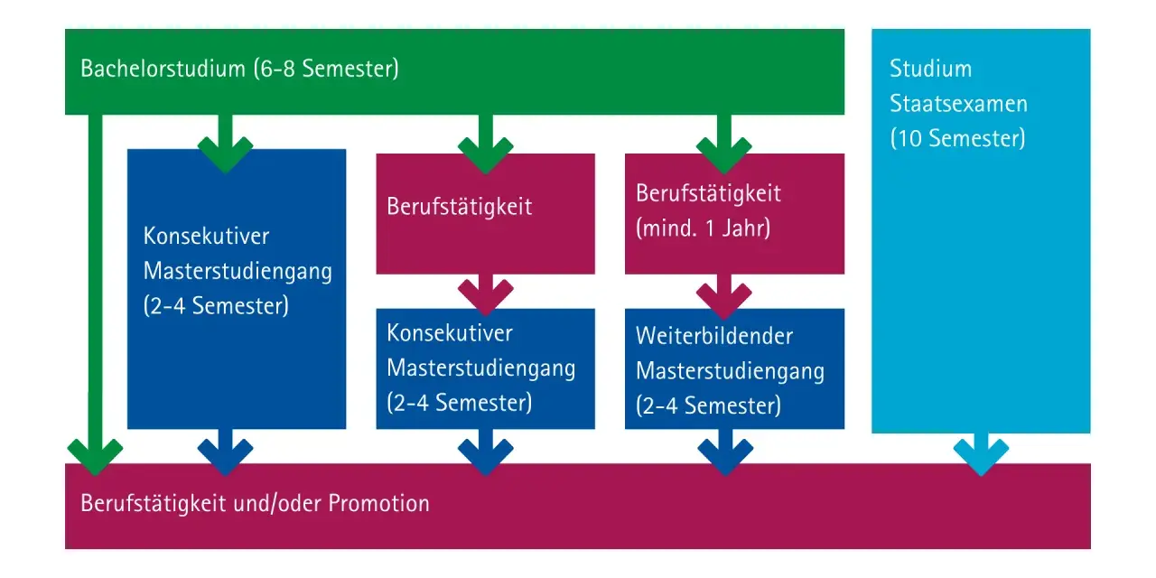 Studienverlauf: Bachelor, Berufstätigkeit, Master oder Staatsexamen (10 Semester), vergleichbar mit Bachelor.