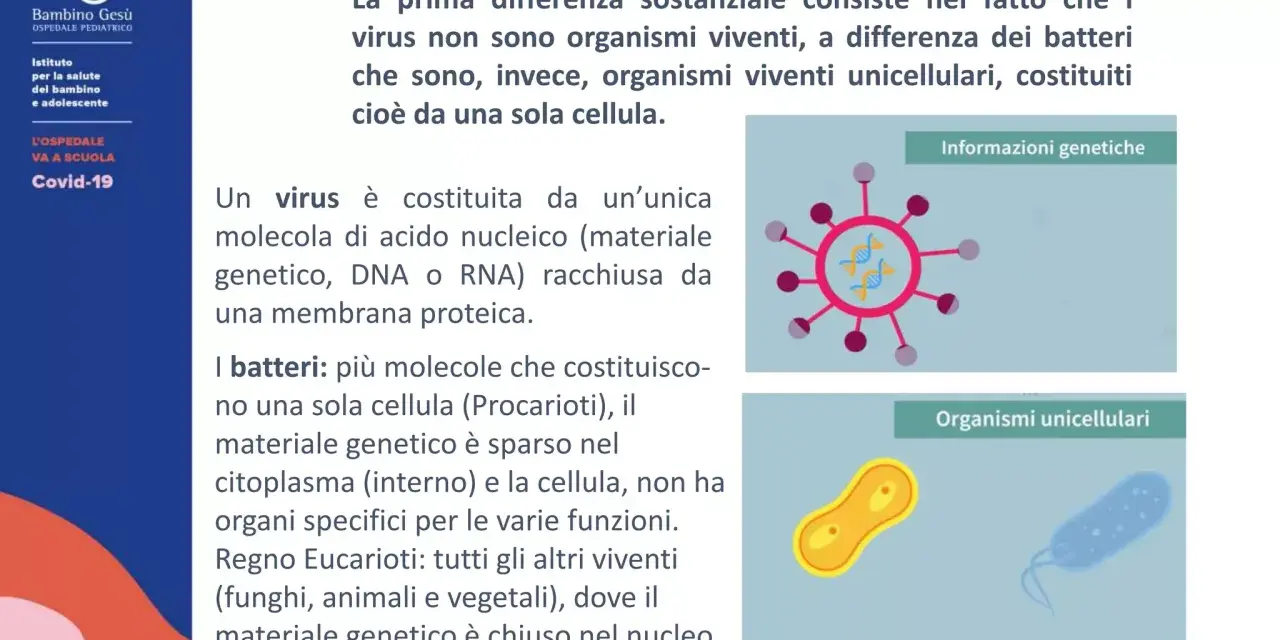 Illustrazione che mostra la differenza tra virus (organismo non vivente con materiale genetico) e batteri (organismi viventi unicellulari).