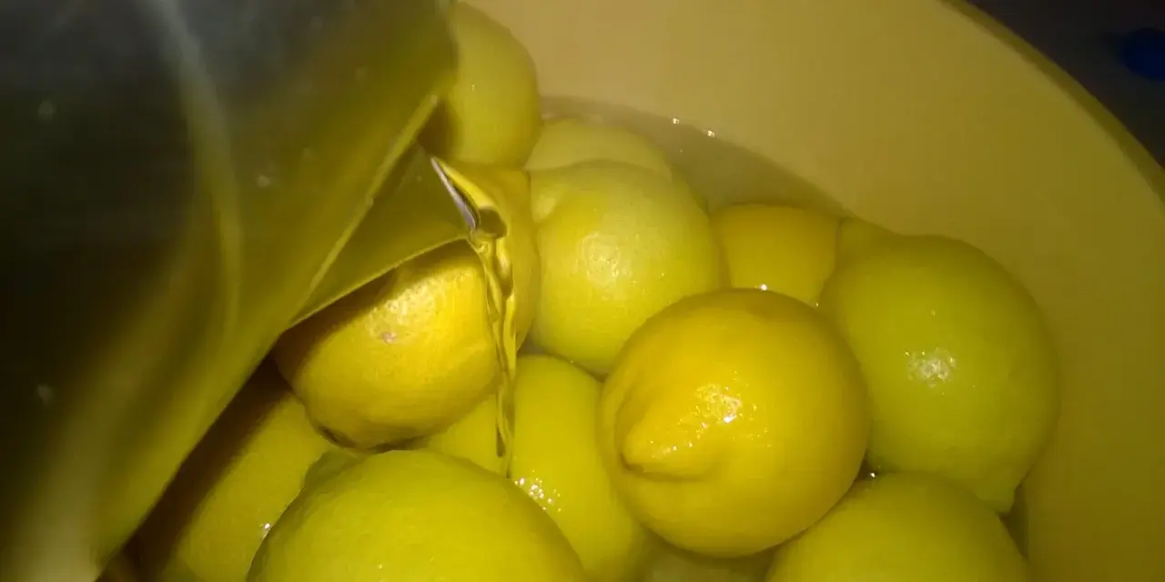 Cytryny w wodzie, gotowe do przygotowania najlepsza cytrynówka przepis.