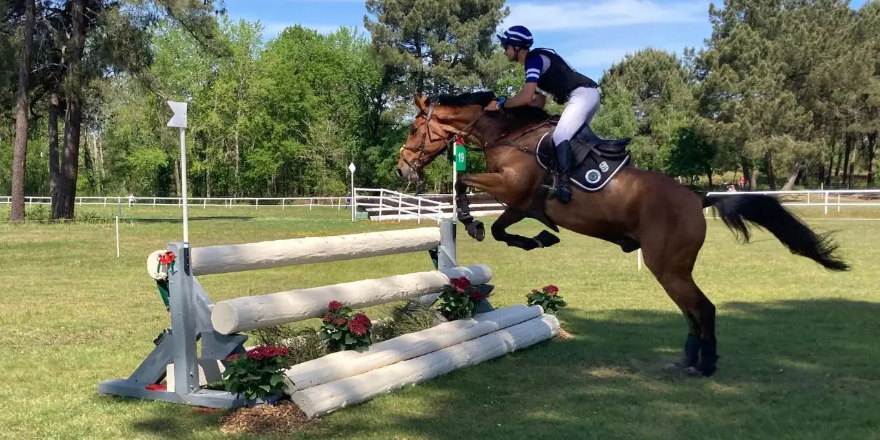 Un cavalier et son cheval brun franchissent un obstacle en bois lors d'une compétition de sports équestres.