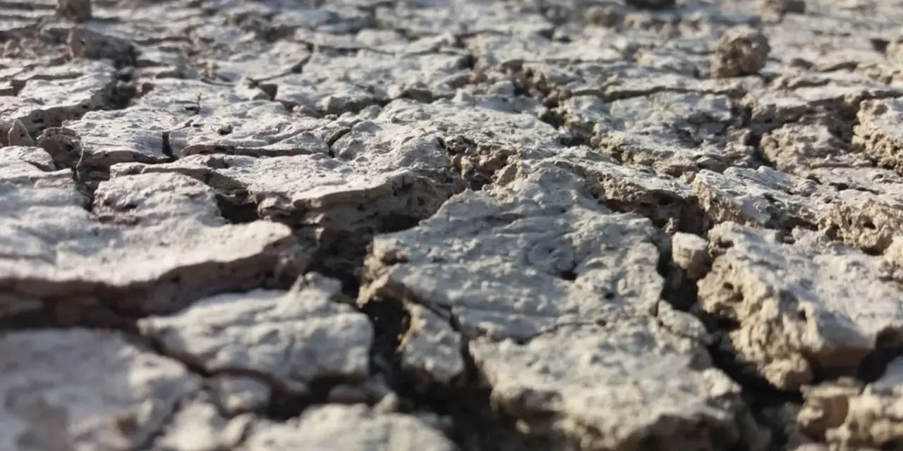 Terreno arido e crepato, un esempio di suolo che necessita di interventi per come abbassare la salinità del terreno e renderlo fertile.