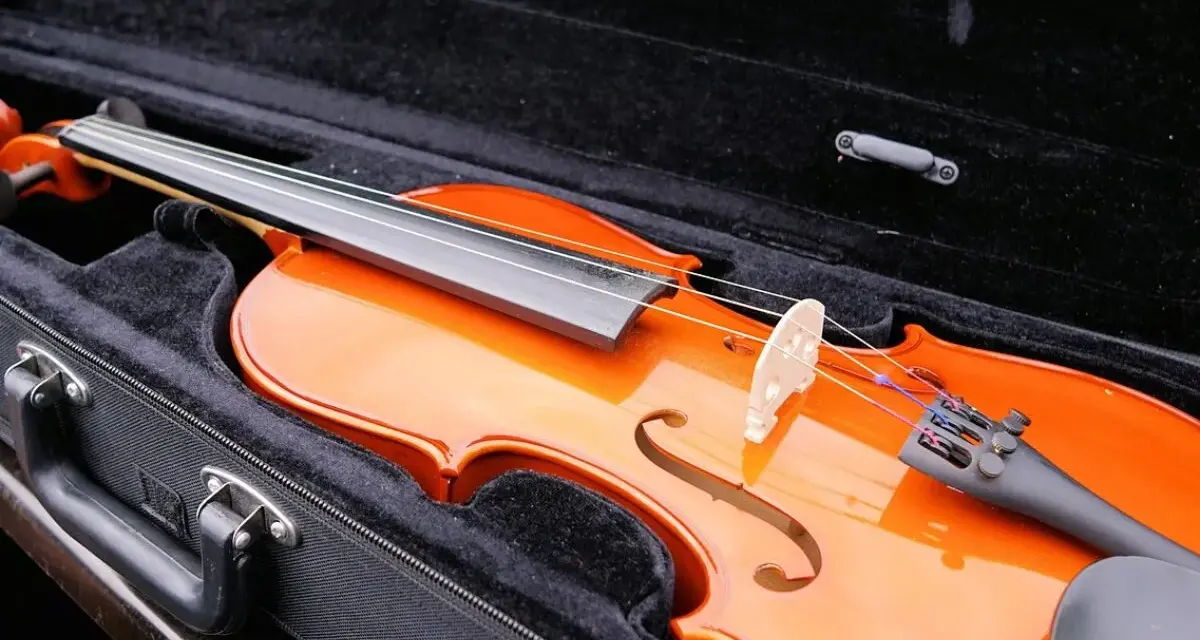 Eine glänzende Geige liegt im schwarzen Kasten. Ob Geige vs. Violine, beide Instrumente verzaubern mit ihrem Klang.