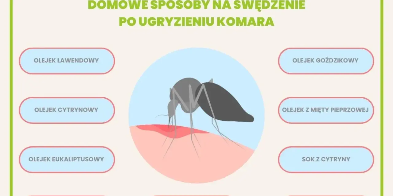 Domowe sposoby na ukąszenia komarów: olejki lawendowy, cytrynowy, goździkowy, z mięty pieprzowej, eukaliptusowy, herbaciany, sok z cytryny, zimne okłady i plastry z aloesu.