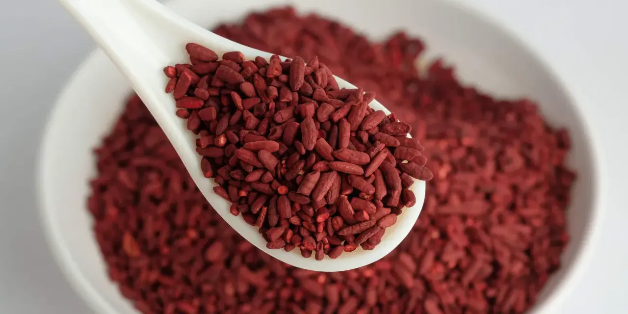 Un cucchiaio bianco pieno di riso rosso fermentato, ingrediente noto per il suo effetto sul gonfiore addominale.