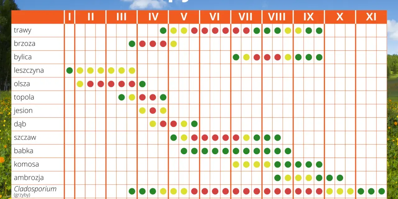 Co pyli w Szczecinie? Aktualny raport + kalendarz i ulga dla alergika
