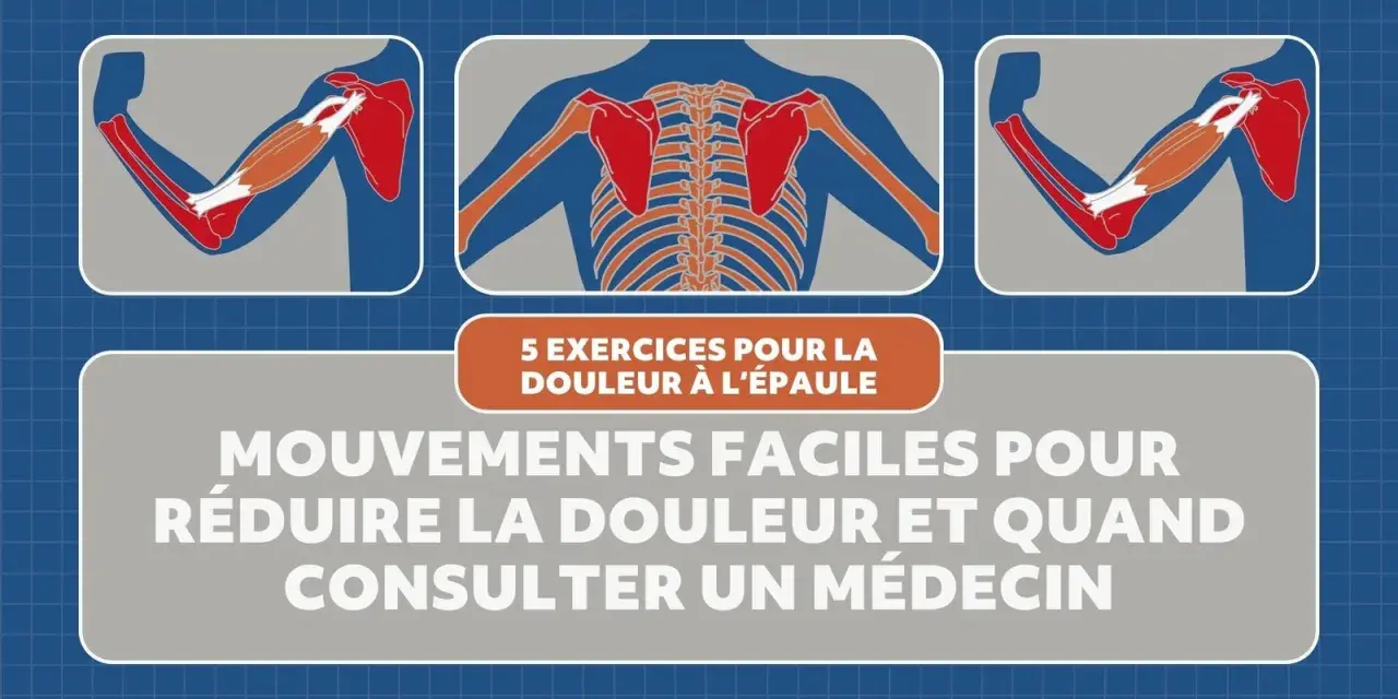 Illustrations anatomiques montrant les muscles de l'épaule et du bras, avec le texte "5 exercices pour la douleur à l'épaule". Idéal pour les tendinite épaule exercices.