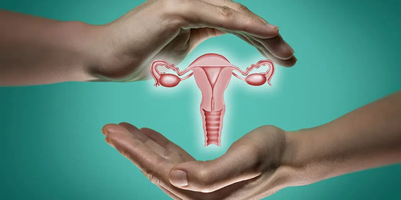 Dwie dłonie otaczają macicę z jajowodami. Ilustracja symbolizuje troskę o długość szyjki macicy w 30 tygodniu ciąży.