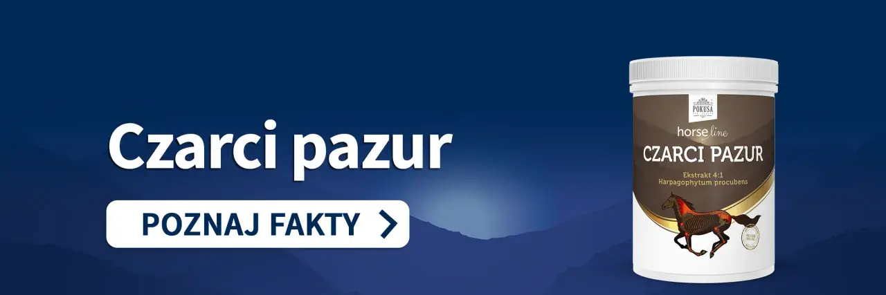 Czarci pazur - suplement dla koni z ekstraktem z **czarciego pazura** (Harpagophytum procubens). Poznaj fakty.