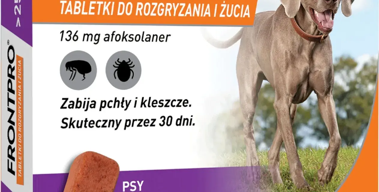 Jakie tabletki na kleszcze dla psa? Wybierz najlepsze i bezpieczne!