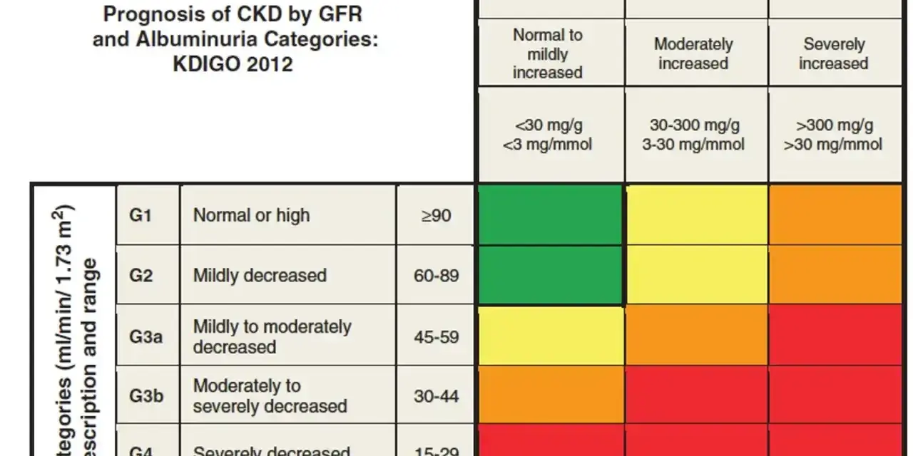 Tabela prognozy PChN wg KDIGO 2012. Pokazuje, jak egfr co to i albuminuria wpływają na ryzyko.