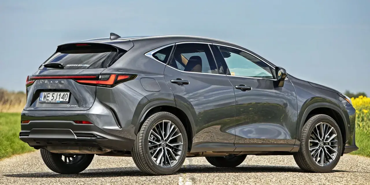 Szary Lexus NX 450h+ na drodze, w tle pole rzepaku. Sprawdź aktualną lexus nx cena.
