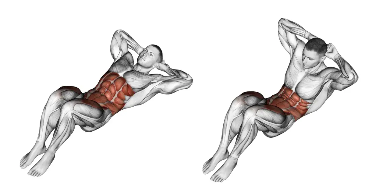 Anatomie d'un homme en mouvement de crunch inversé, montrant les muscles abdominaux saillants.