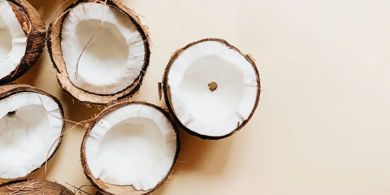 Plusieurs moitiés de noix de coco fraîches, révélant leur chair blanche et crémeuse. Un aperçu des bienfaits de l'huile de coco.
