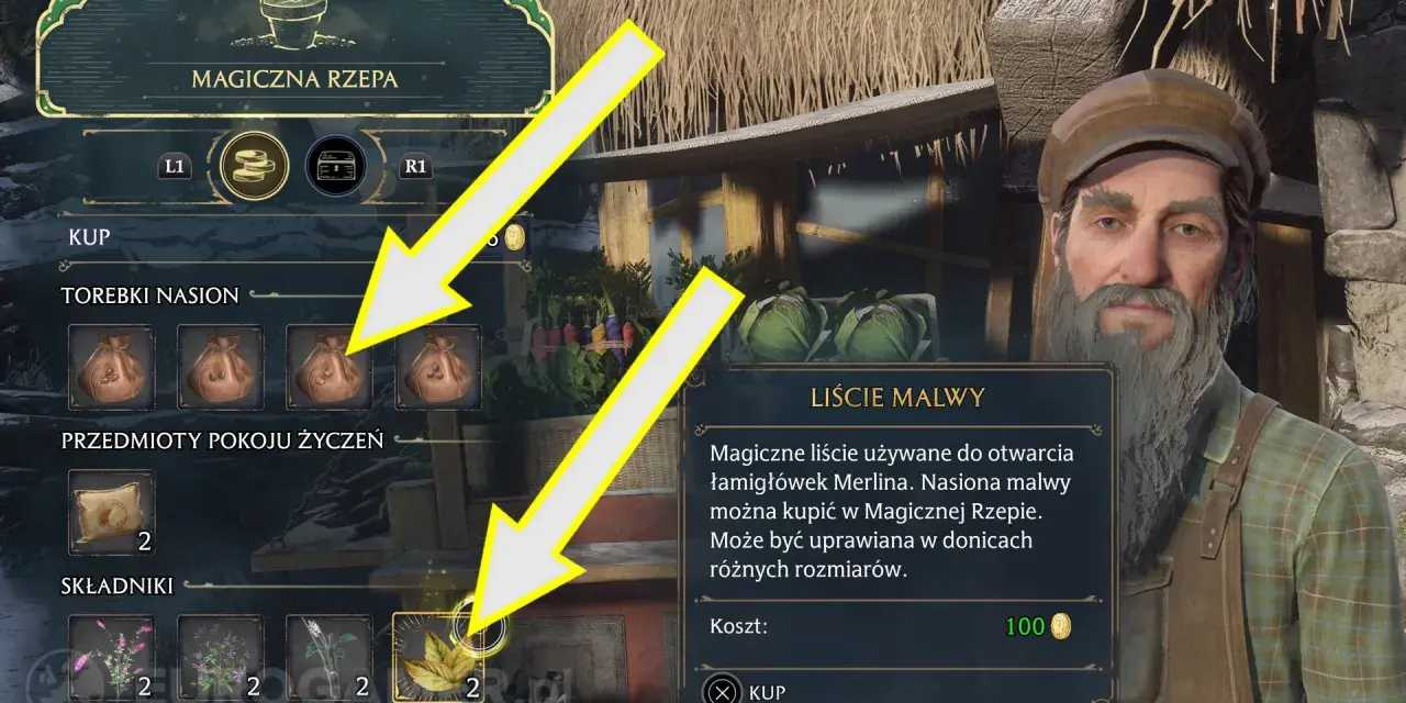 Gracz w grze Hogwarts Legacy kupuje nasiona malwy w Magicznej Rzepie.