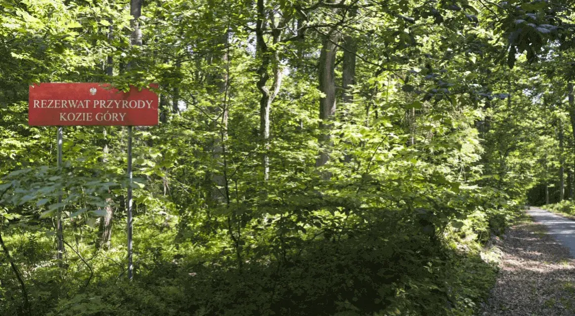 Rezerwat przyrody Kozie Góry: unikalne atrakcje i tajemnice natury