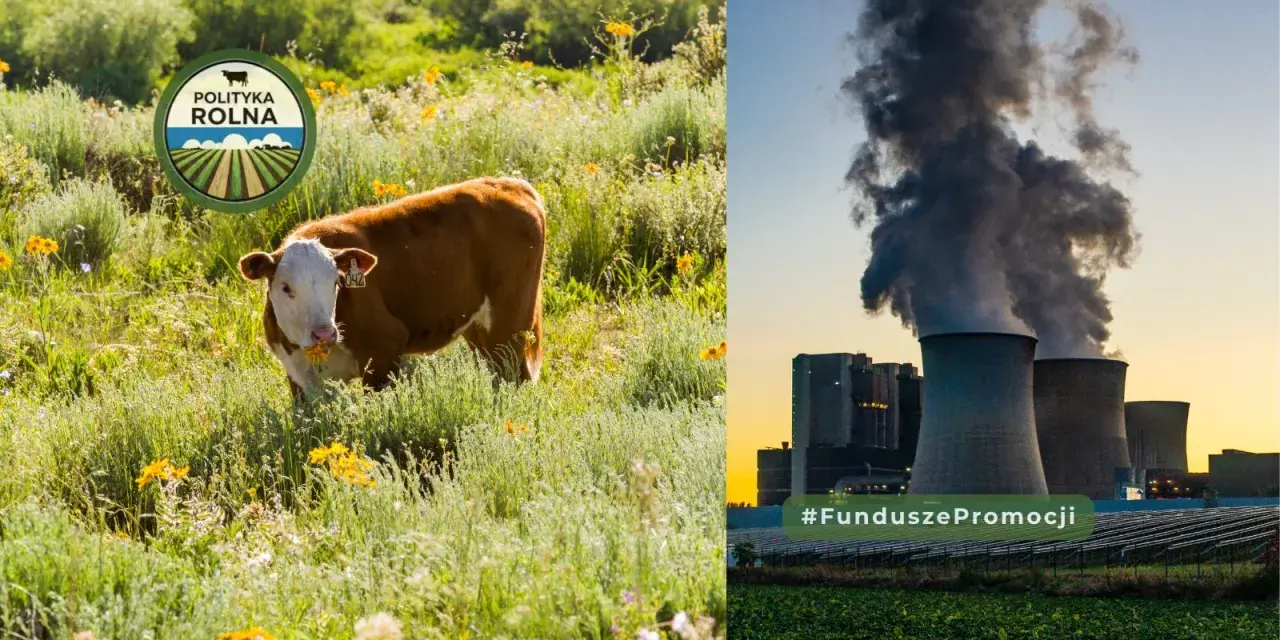 Krowa na łące i elektrownia emitująca dym, symbolizująca kontrast między naturą a przemysłem, gdzie sadza techniczna zanieczyszcza powietrze.