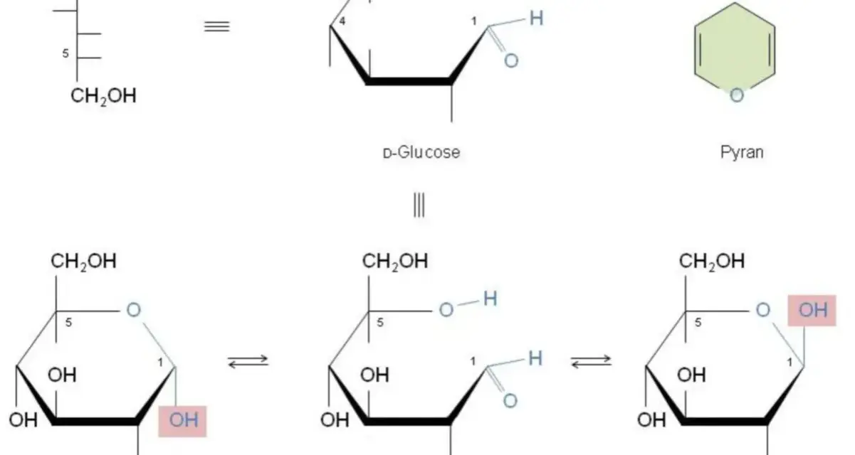Strukturformeln von Glucose: offenkettige Form, Pyranose-Ring und die Bildung eines Halbacetals in α- und β-Form.