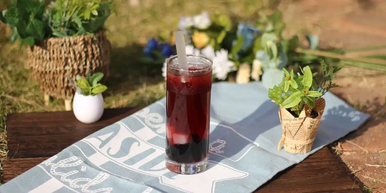 Drink z czarnej porzeczki: Klasyka i nowe smaki. Zaskocz gości!