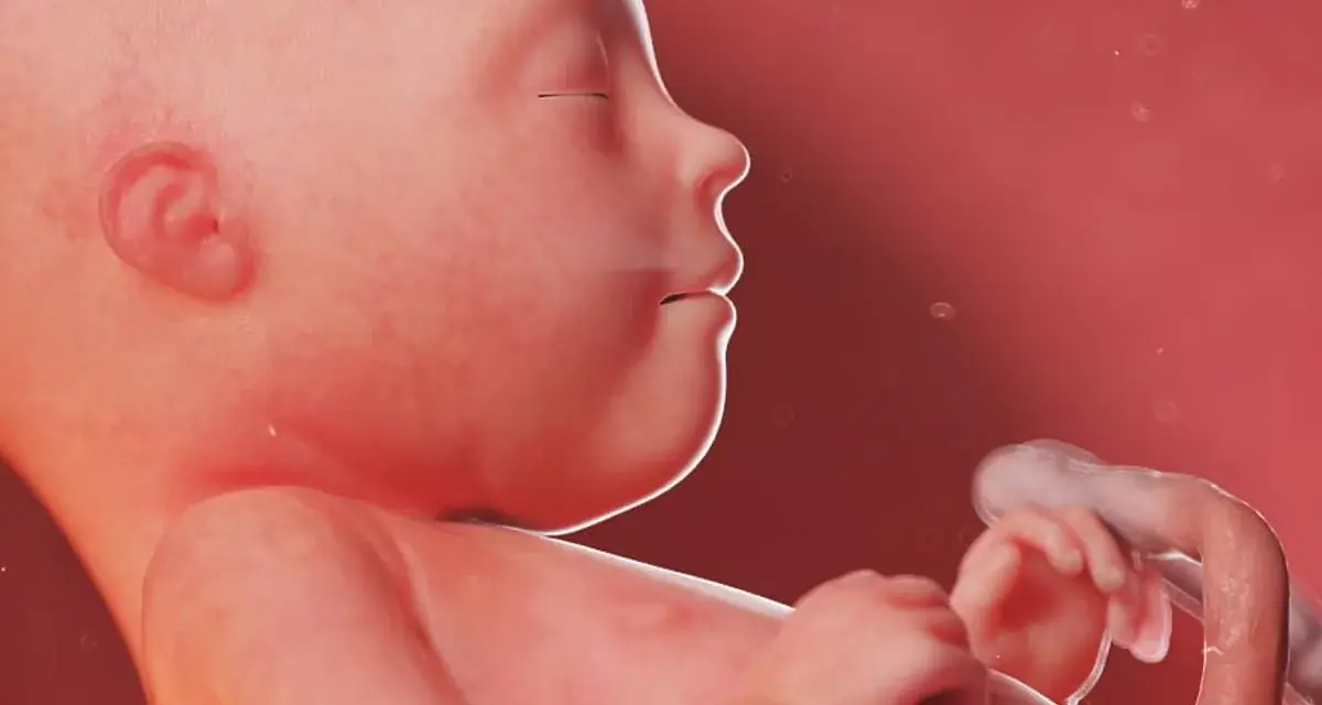 Dziecko w 21 tygodniu ciąży, z zamkniętymi oczami i dłońmi blisko twarzy, otoczone płynem owodniowym.