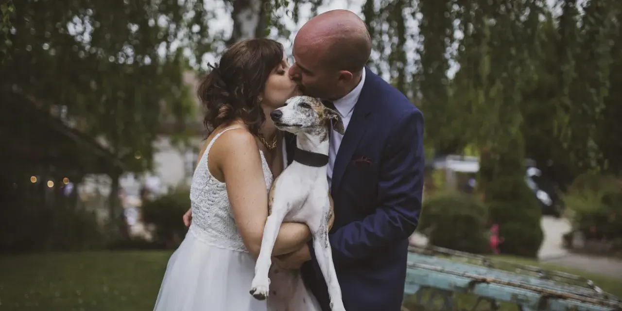 Un couple s'embrasse tendrement, tenant leur chien, dans cette photo de mariage.