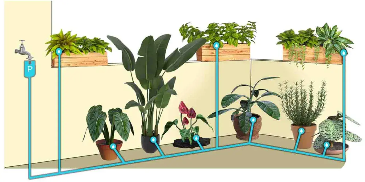 Sistema di irrigazione a goccia fai da te con bottiglia, che collega un rubinetto a diverse piante in vaso e fioriere.