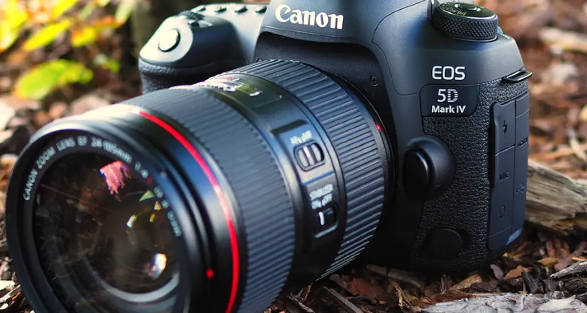 Profesjonalny aparat Canon EOS 5D Mark IV z obiektywem leży na leśnym podłożu.