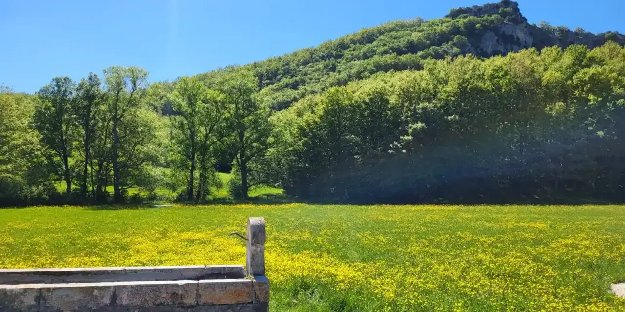 Un antico lavatoio in pietra, una fonte della noce, si affaccia su un prato fiorito di giallo, con alberi rigogliosi e una montagna sullo sfondo.