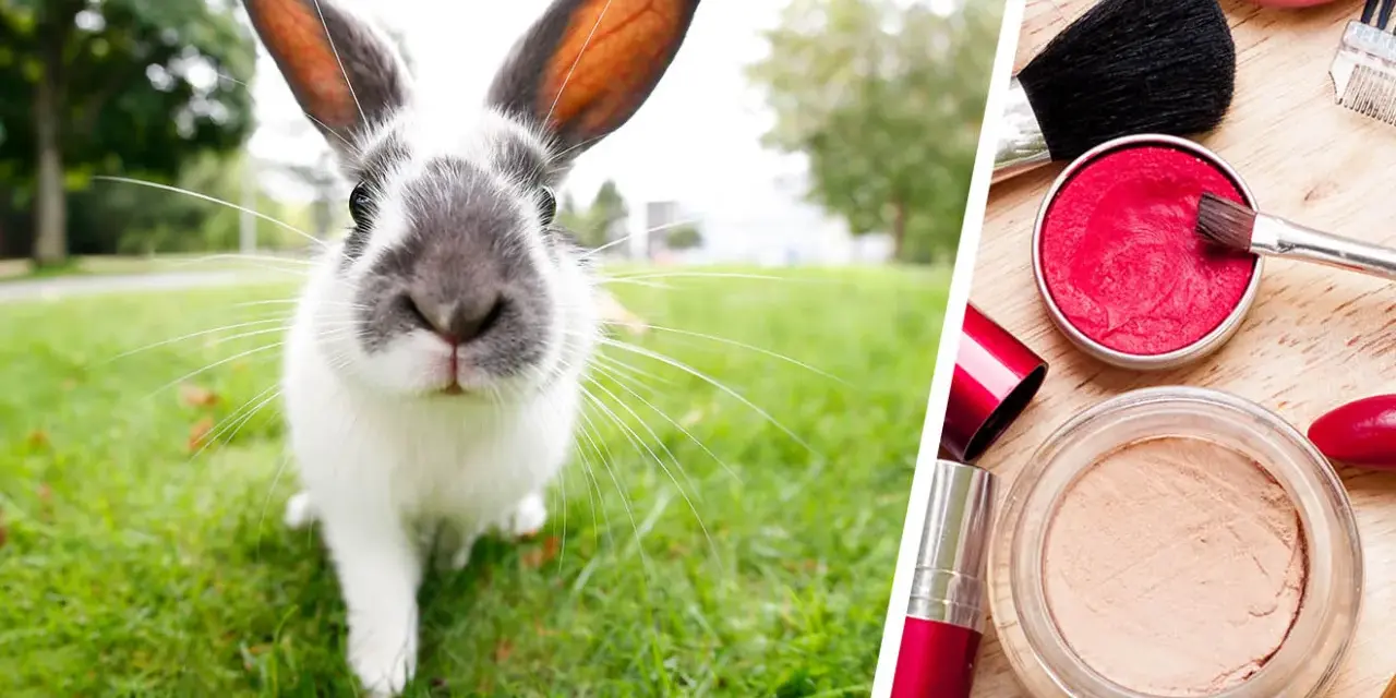 Kosmetik mit Tierversuche: Die versteckten Risiken und Alternativen