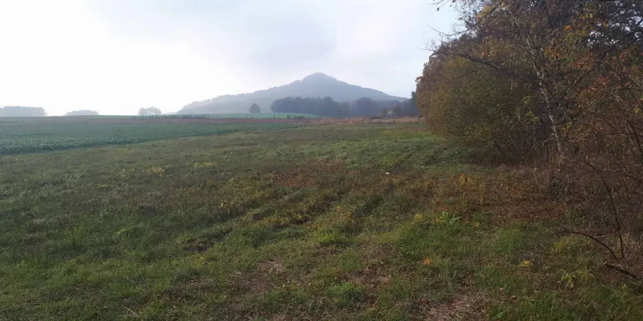 Mglisty poranek nad polami, w oddali majaczy ostrzyca proboszczowicka. Jesienne drzewa szumią przy ścieżce.