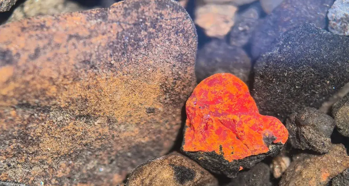 Jasny, pomarańczowy minerał w kształcie serca wśród ciemnych kamieni.